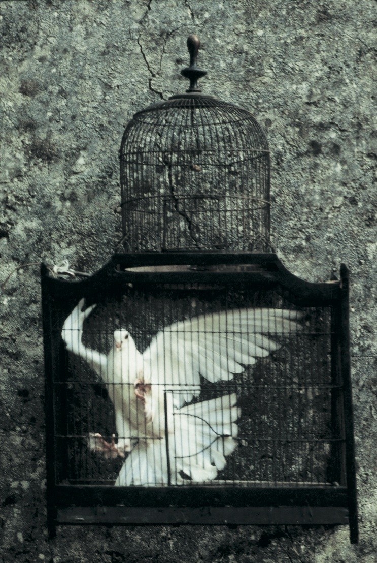 juergent:  Remembering Will McBride by Alister Mackie, AnOther Magazine SS02, Behind