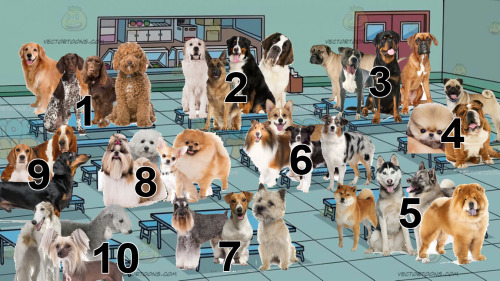 doggosource: which table you sitting at?