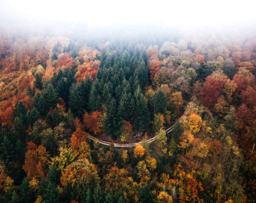 eyeleaves: Marina Weishaupt, Swabian Jura Germany. 2018