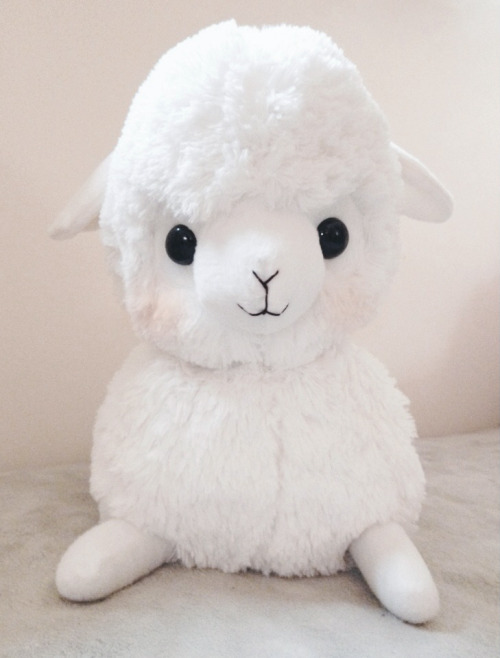 lumichi:  New Arpakasso from soreyal!!He’s an original baby series :)I actually had one already, but the old one arrived to me in a semi-used condition so I decided I needed a new one in perfect condition which I know Soreyal sells! So now they are