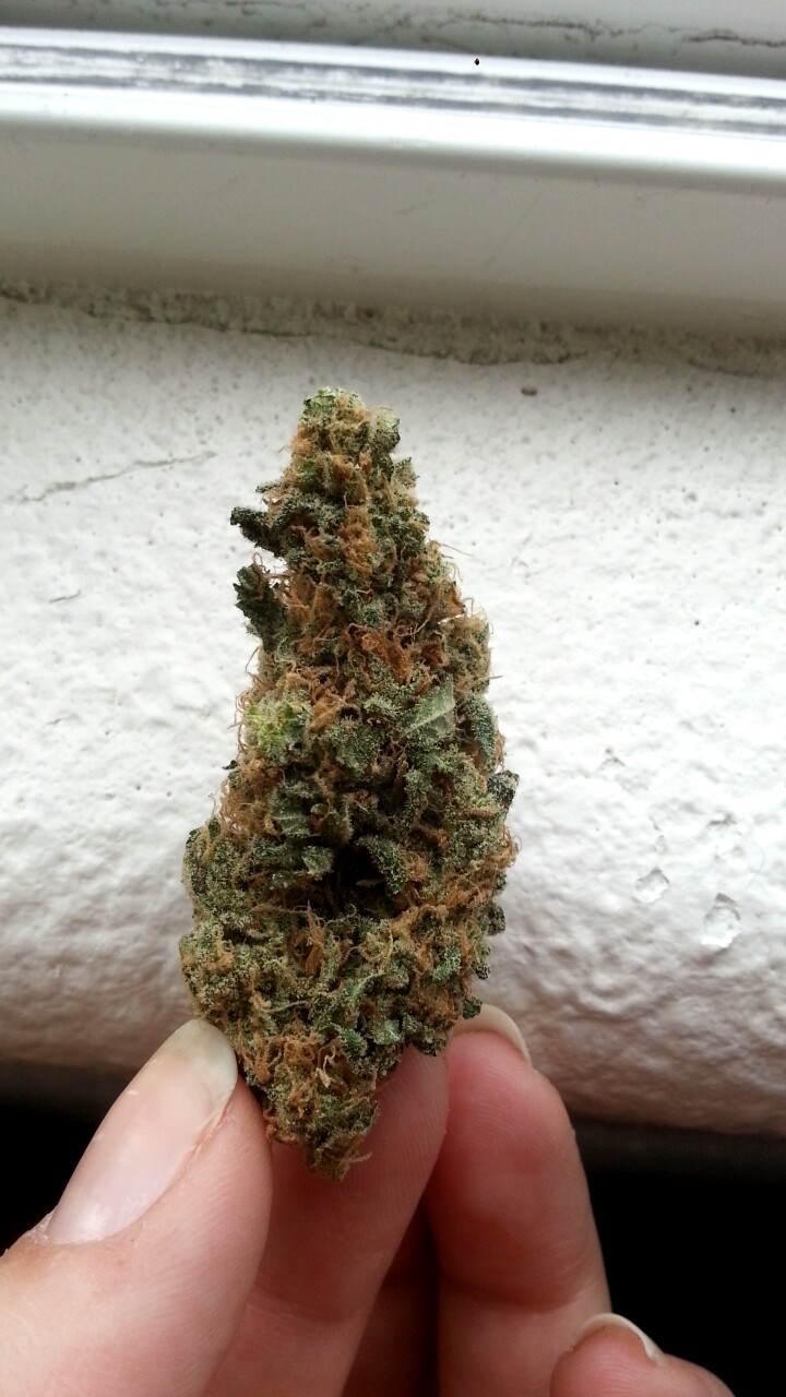 miripoppns:  Ruby Red and Northern Lights. I’m happy now 