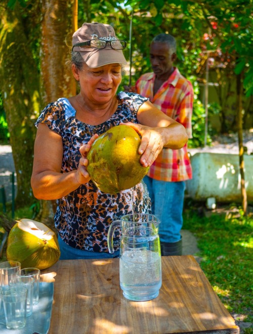 Benefits of Fresh Coconut WaterNothing is more beneficial for our bodies then raw coconut water. C