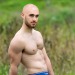 perfectpecs: