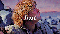 nimrodels:lord of the rings meme: six relationships [1/6] → “Then as he had kept watch Sam had notic