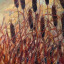 cattail-fluff