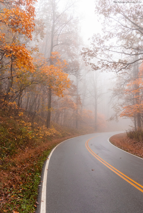 Skyline DriveShenandoah National Park