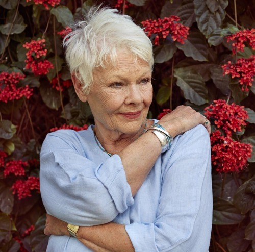 judi-daily: Day 351 The Second Best Exotic Marigold Hotel, 2014 Photographer: Colston Julian