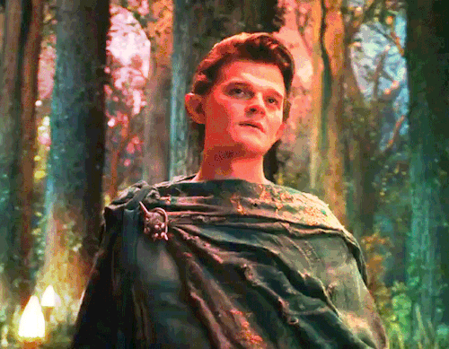 Just Elrond  ♡ (bonus Floofy Hair)