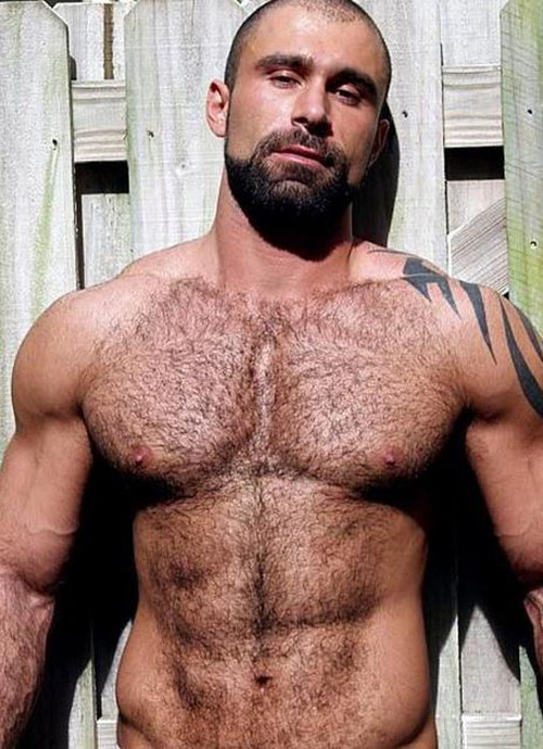 hardbulls:  Alex Baresi  I’ve had many a dream and fantasy about this one man. Stunningly handsome, hairy, and dam sexy.