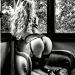 monochrome-delineation: