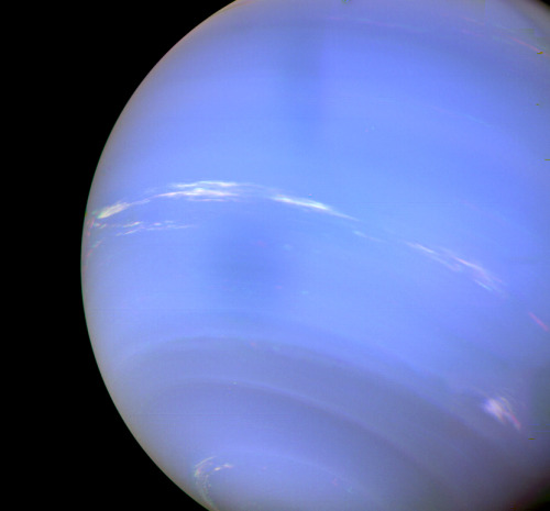 humanoidhistory:Glorious Neptune, observed by the Voyager 2 space probe on August 24, 1989.