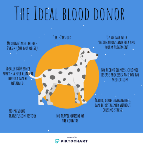 Thinking of setting up your own blood donation programme in your practice? These are the factor