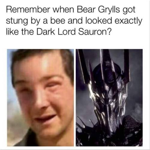 bear grylls