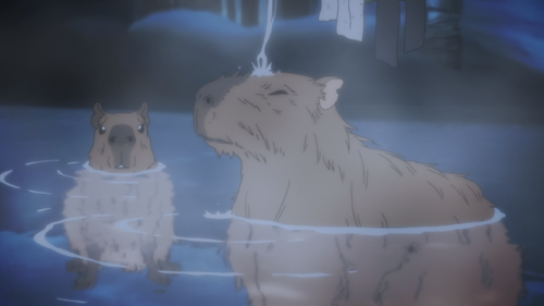 joiedeveve:Meet me at the gender neutral hot springs capybara & humans