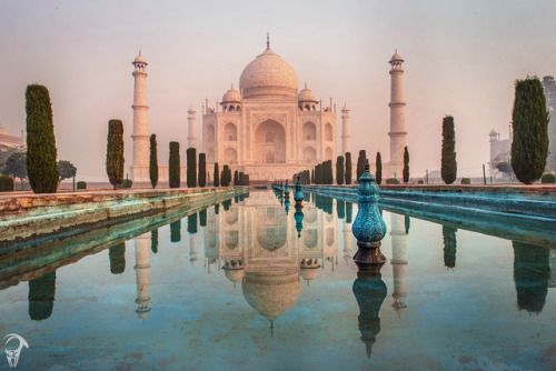 The Taj ReflectionsThe Taj in all its splendid beauty at sunrise.