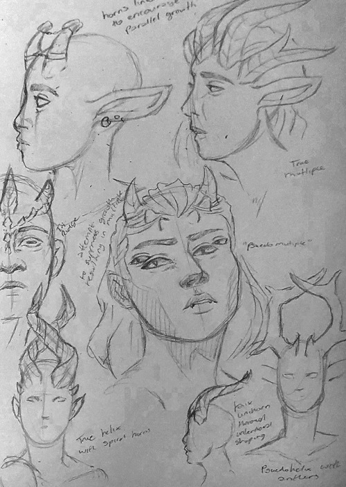 I have been doing a lot of playing with tiefling horn variations.