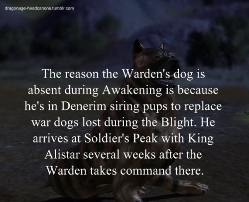 dragonage-headcanons: The reason the Warden’s dog is absent during Awakening is because he&rsq