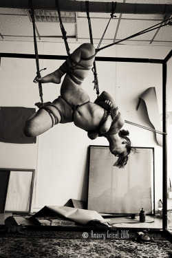 amaury-grisel-shibari:  amandine dans le