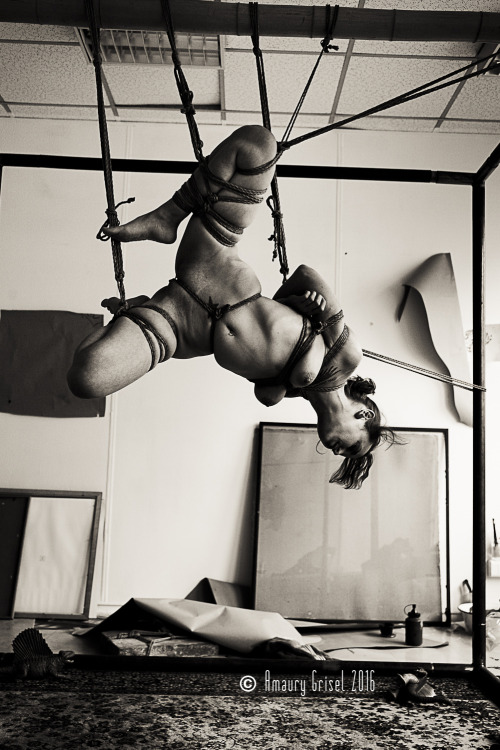 Sex amaury-grisel-shibari:  amandine dans le pictures