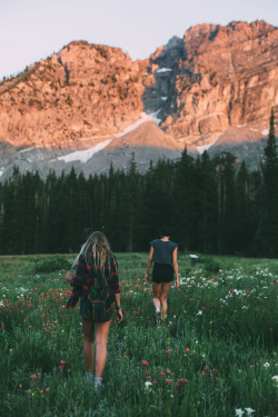 mystic-revelations:  Albion Basin By Kyle Sipple 