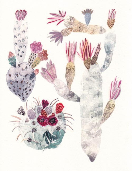 brwnpaperbag:  illustrations by Michelle Morin