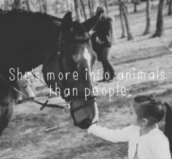 ponies-and-polowraps:  Hey look it’s my childhood in a sentence.  