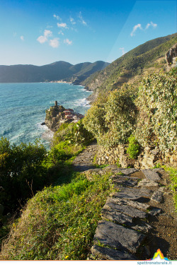 Mistymorningme:  Sentiero Verso Vernazza, Attraverso Il Parco Nazionale Delle Cinque