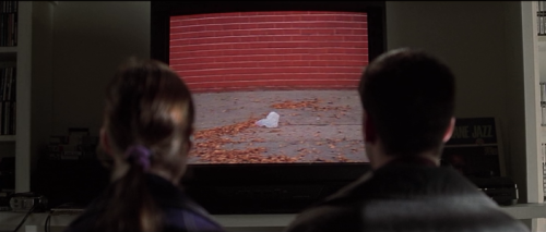 eerie1023:  American Beauty (1999) Director: Sam Mendes Director of Photography: Conrad L. Hall 