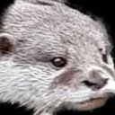 otterly-fabby avatar