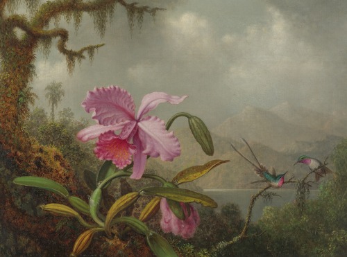 ce-sac-contient:Martin Johnson Heade (1819-1904) - Hummingbirds and Orchids, ca 1875-90Oil on canvas