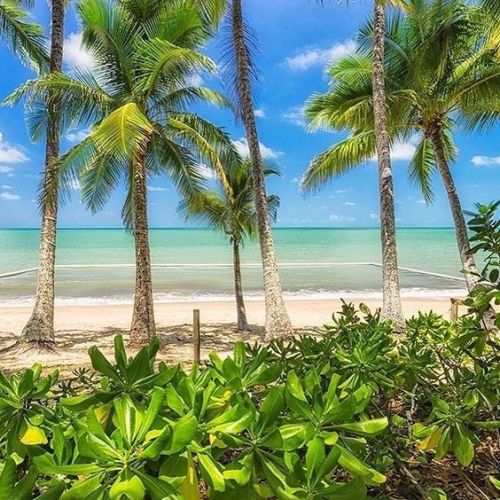 heroinsight:   Clifton Beach, Cairns, by Darren Tierney   