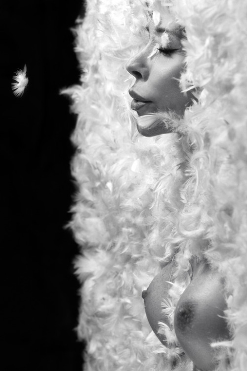 instinctsoflife.tumblr.com/post/128244812600/