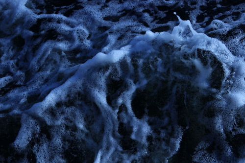 cryier:  the sea is amazing 