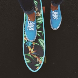 tropiqua-l:  these-waterss:  I have this board!!!  ☯ q’d active and i follow back :) ☯
