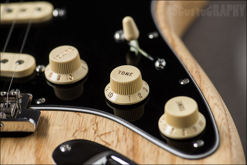 XXX thedailygit:  Fender American Standard Stratocaster, photo