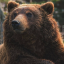 bearingthecurse