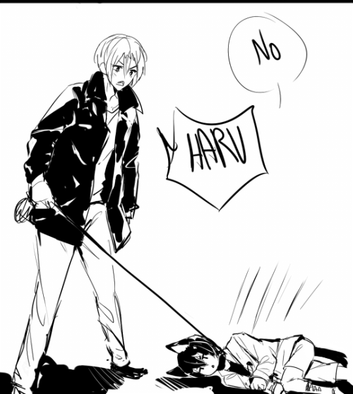 crispyfrites:Haru only walks free