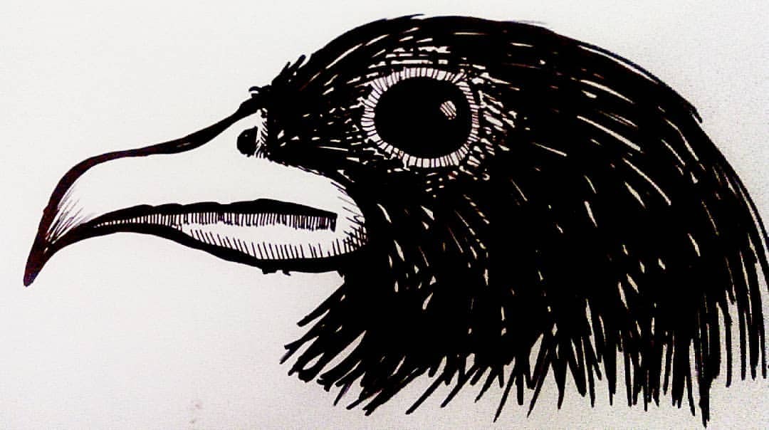  Detalle   imagen dibujos a plumon negro