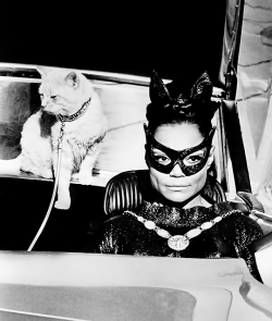 dessinnoir: Eartha Kitt as Catwoman in the