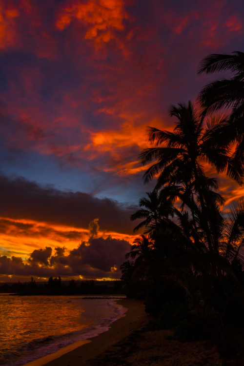 Porn photo wowtastic-nature:💙 Oahu Sunrise by Kelly