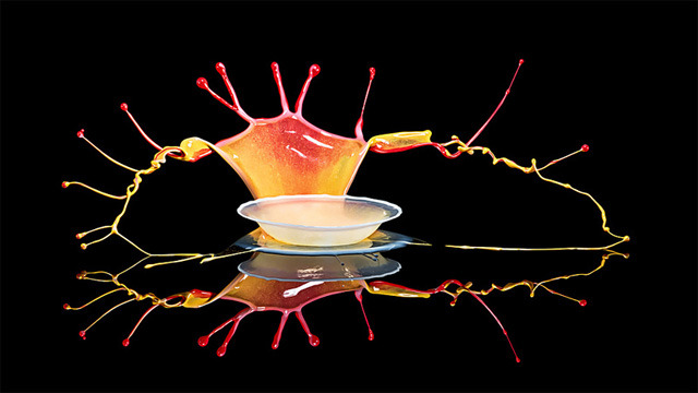 martinekenblog:  Markus Reugels&rsquo; amazing high speed photography 