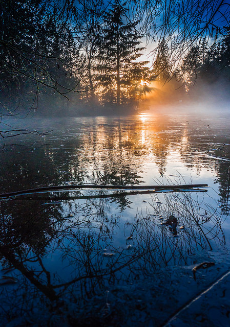 Winter Solstice 1 of 2 by Don White (Central Park, Burnaby) on Flickr.