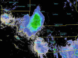 Currentsinbiology:  Ladybug Swarm Shows Up On National Weather Service Radar  National