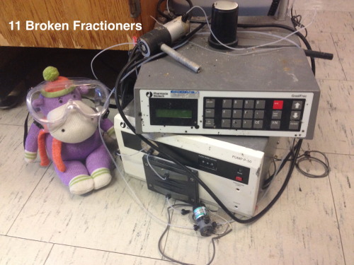 adventuresinchemistry:     Merry Christmas and Happy Holidays from Lewis the Science Hippo!  THIS IS HELL!!!