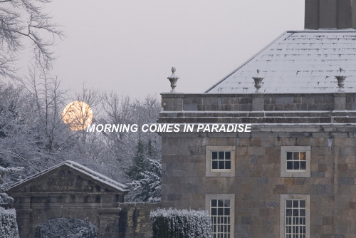 morning comes in paradise: a quiet collection of songs about leaving, loving, and losing.for the wid