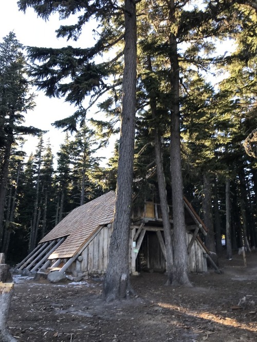 Tilly Jane Trail to Cooper SpurMt. Hood, Oregon, November 2018The last hike of 2018. I took Andreas 