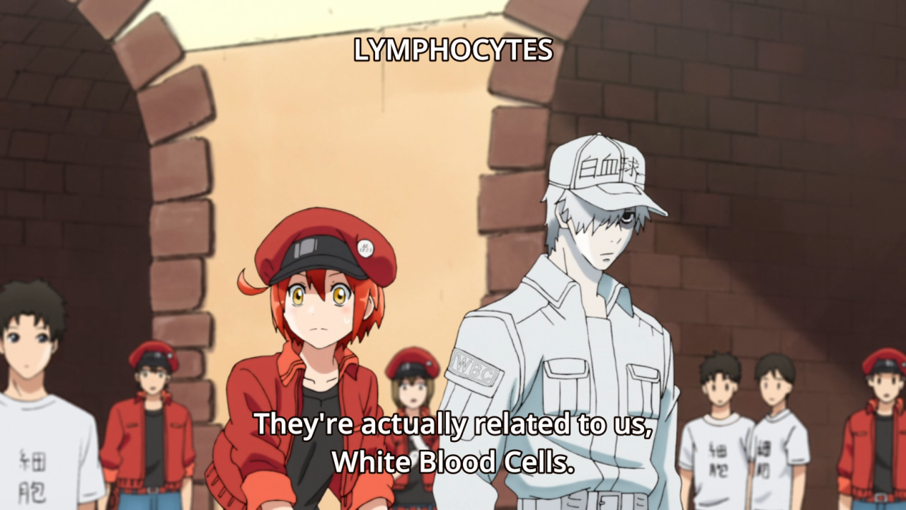 SPAMMING IN CAPS FOR ANIME/MANGA/GAMES LOL — HATARAKU SAIBOU EP 1