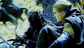mockingjaykatniss2: Middle Earth meme | [2/6] friendships ► Legolas and Aragorn ↳   “ This is no mer