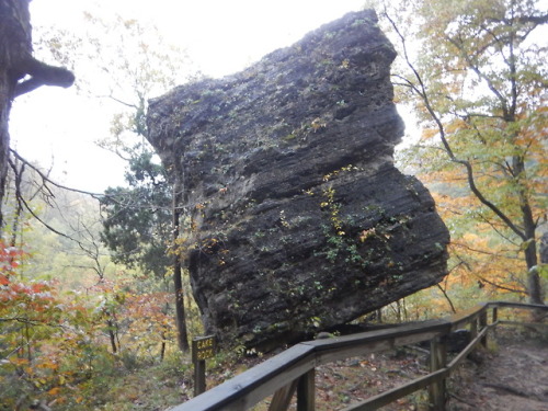 treemigration:Cake rock, a large balancing rock that was pushed to the very edge of the gorge by gla