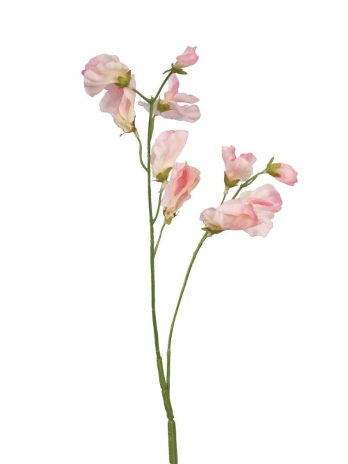 they symbolise appreciation , delicate pleasures and farewell apparently